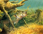 马克 苏祖尼奥 : -Unknown